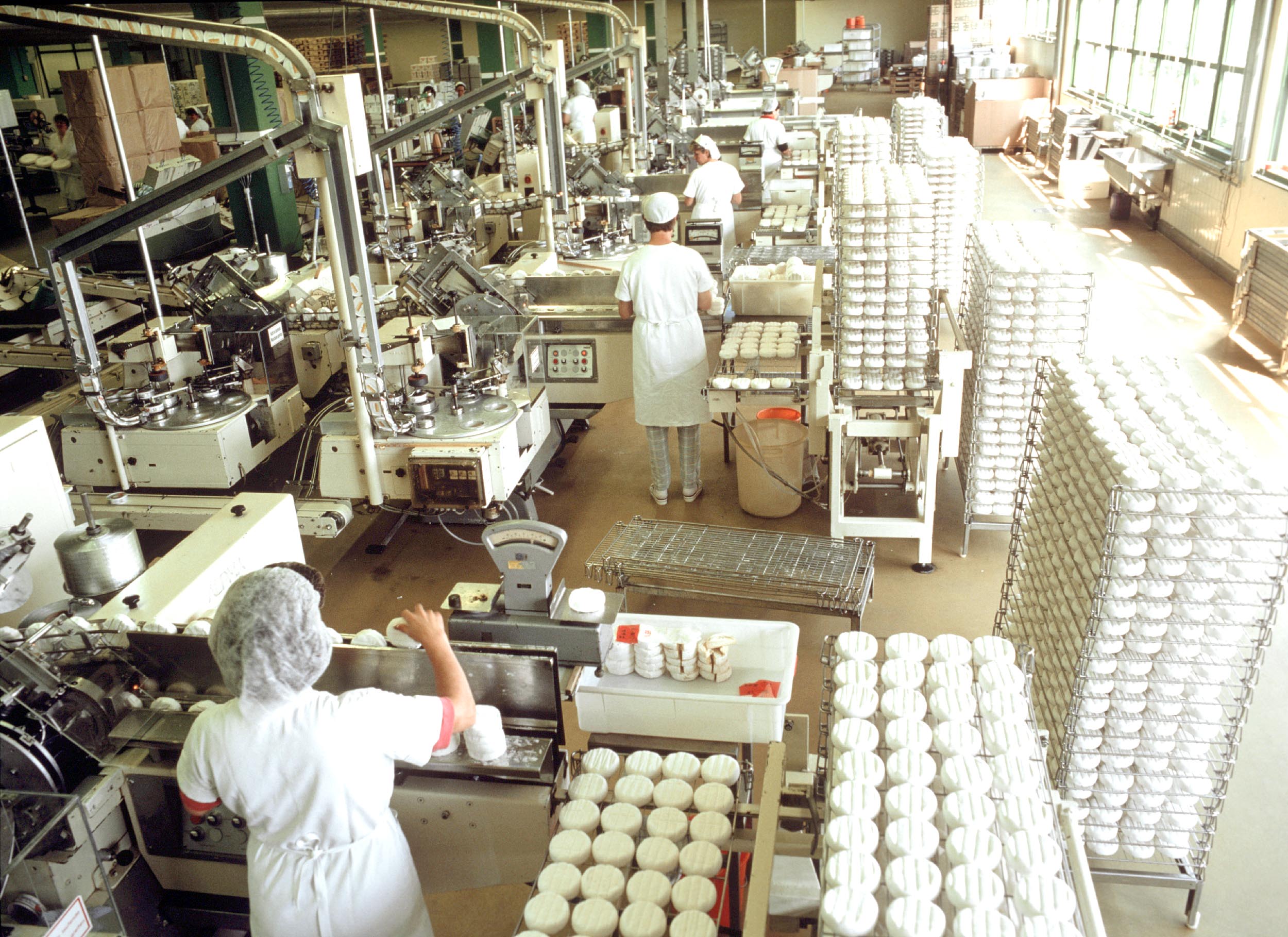 Food Processing