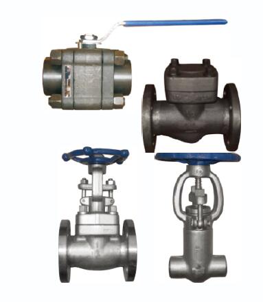 Forged Steel Valve